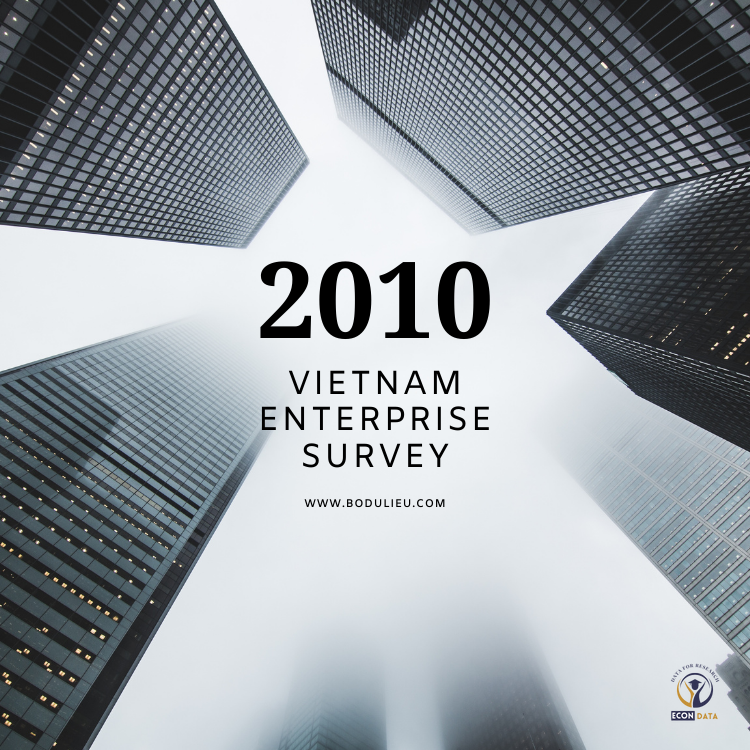 Vietnam Enterprise Survey 2010 - VES 2010 dataset